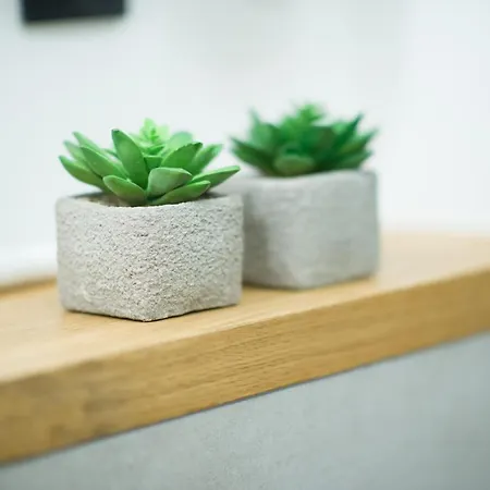 Beautiful Days In شقة وودج