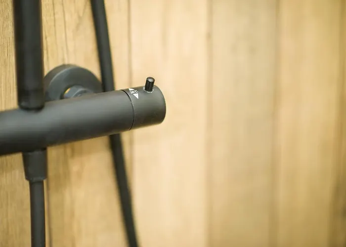 Beautiful Days In وودج