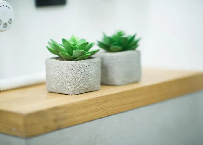 Beautiful Days In شقة وودج